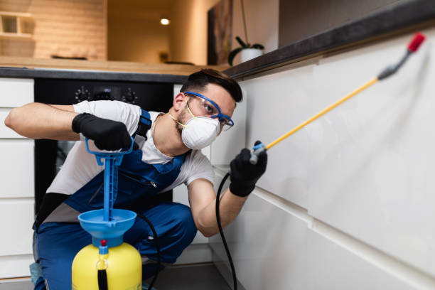 Best Residential Pest Control  in Ravenna, OH