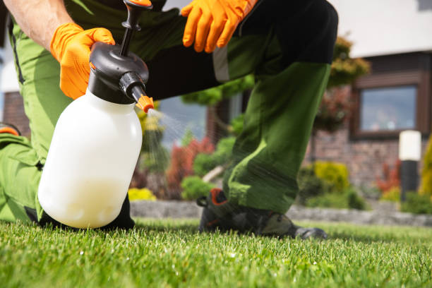 Pest Control for Restaurants in Ravenna, OH