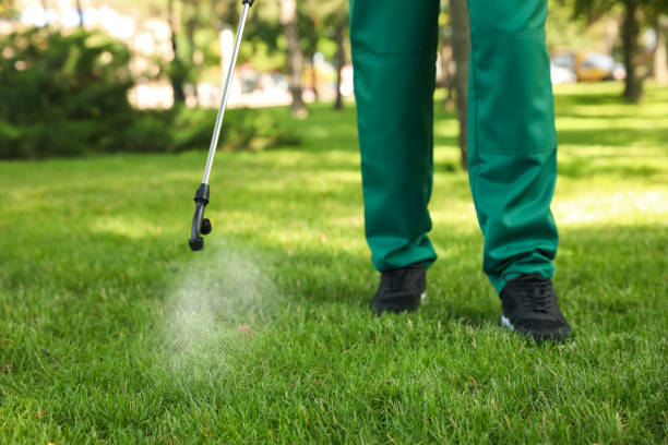 Best Flea Control Services  in Ravenna, OH
