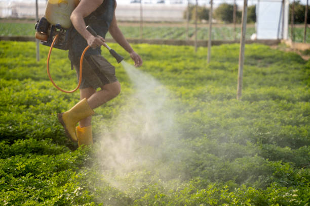 Best Ant Control Services  in Ravenna, OH