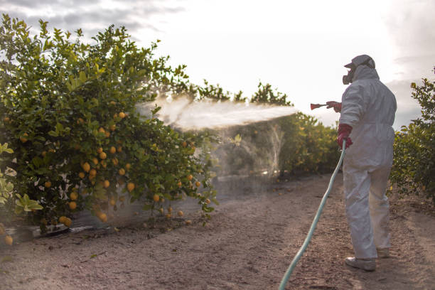 Best Pest Removal Services  in Ravenna, OH