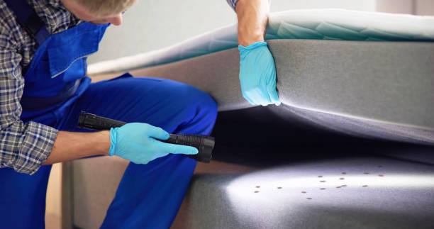 Best Bed Bug Extermination  in Ravenna, OH