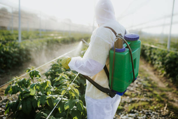 Best Emergency Pest Control  in Ravenna, OH